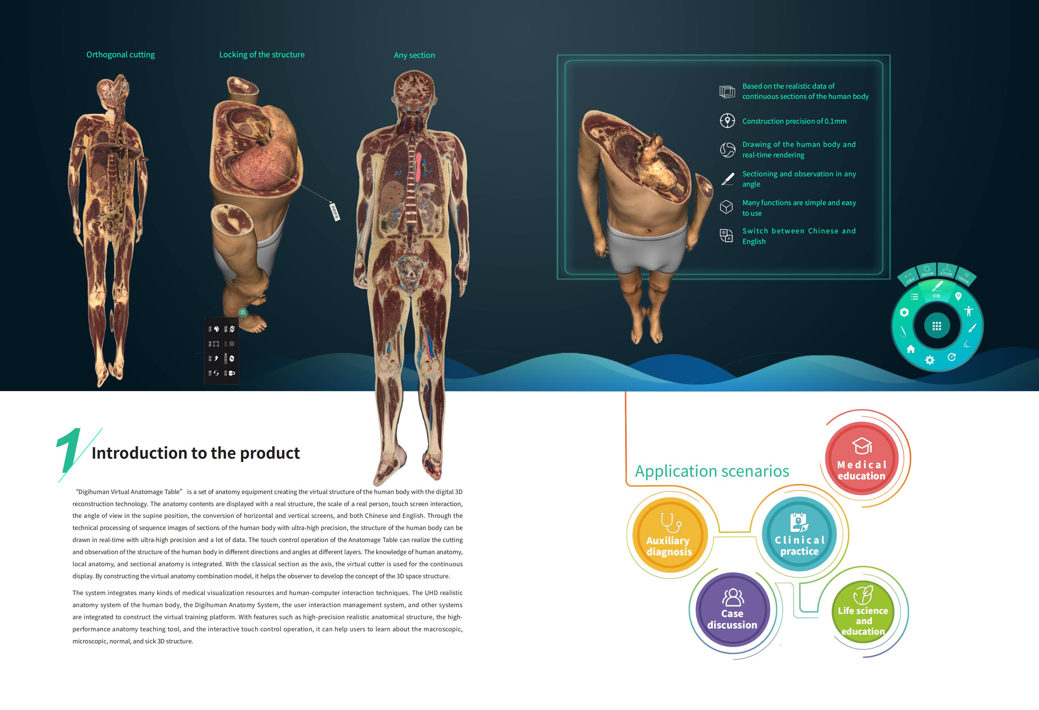 YSDHA-II8HDDigihumanVirtualAnatomyTable_01