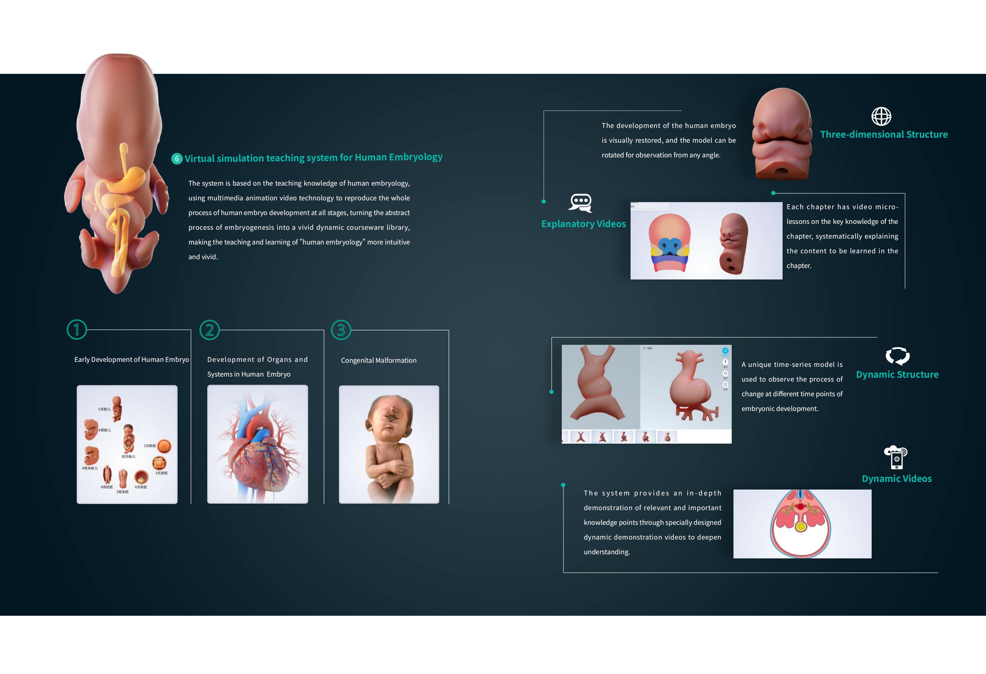 YSDHA-II8HDDigihumanVirtualAnatomyTable_05