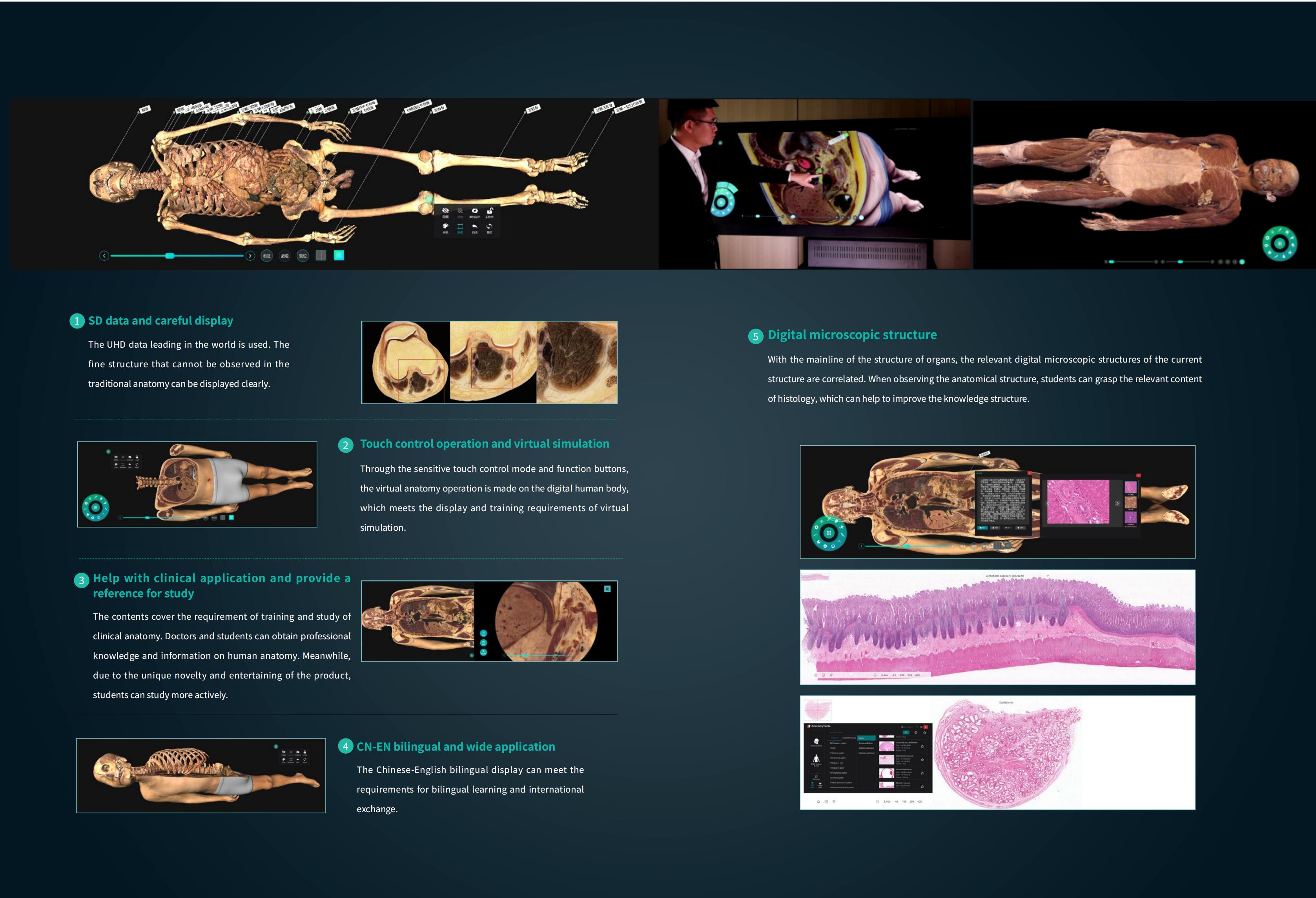 YSDHA-II8HDDigihumanVirtualAnatomyTable_04